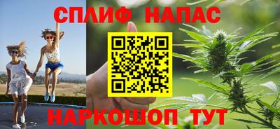 ешки Владимир