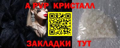 ешки Владимир