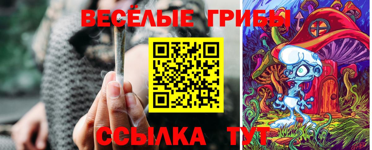 Псилоцибиновые грибы Magic Shrooms  Вход с VPN  Нижнекамск 