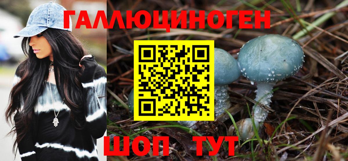Псилоцибиновые грибы GOLDEN TEACHER Нижнекамск